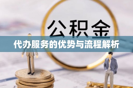 罗定代办服务的优势与流程解析