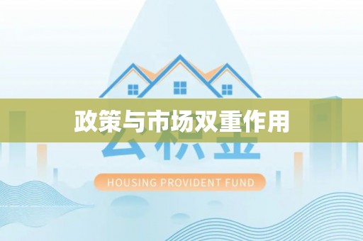 罗定政策与市场双重作用