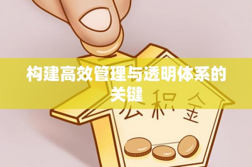 罗定构建高效管理与透明体系的关键