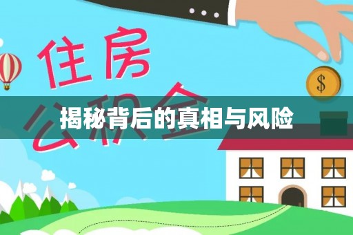罗定揭秘背后的真相与风险