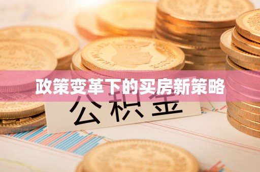 罗定政策变革下的买房新策略