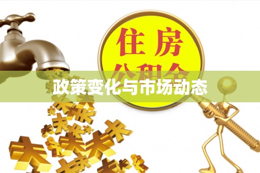 罗定政策变化与市场动态