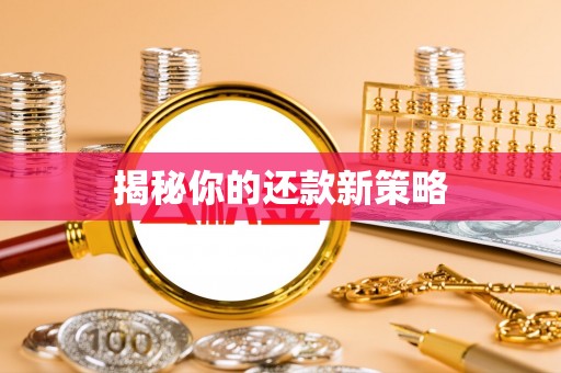 罗定揭秘你的还款新策略