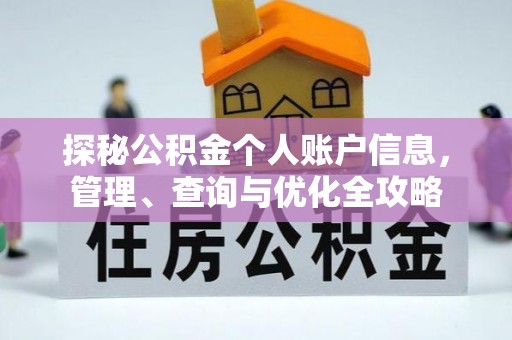 罗定探秘公积金个人账户信息，管理、查询与优化全攻略