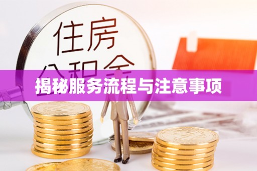罗定揭秘服务流程与注意事项