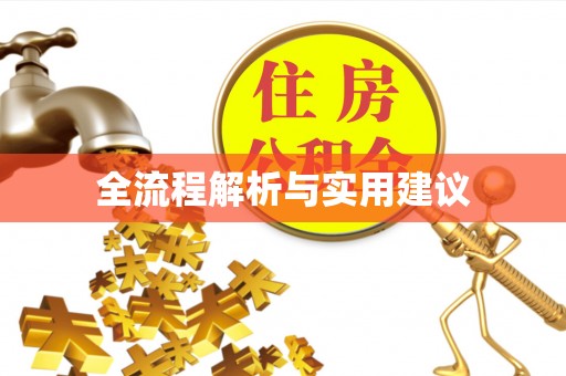 罗定全流程解析与实用建议