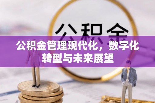 罗定公积金管理现代化，数字化转型与未来展望
