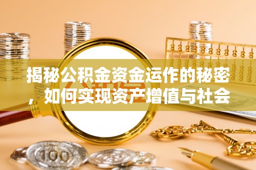 罗定揭秘公积金资金运作的秘密，如何实现资产增值与社会福利双赢？