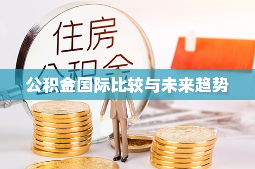 罗定公积金国际比较与未来趋势