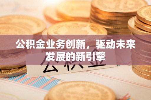 罗定公积金业务创新，驱动未来发展的新引擎