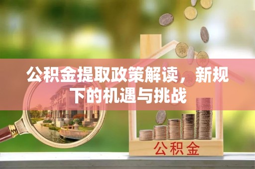 罗定公积金提取政策解读，新规下的机遇与挑战