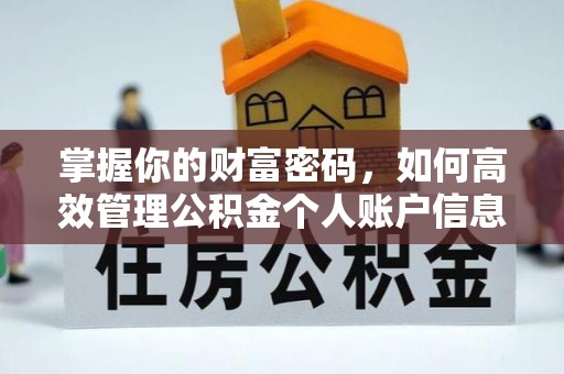 罗定掌握你的财富密码，如何高效管理公积金个人账户信息