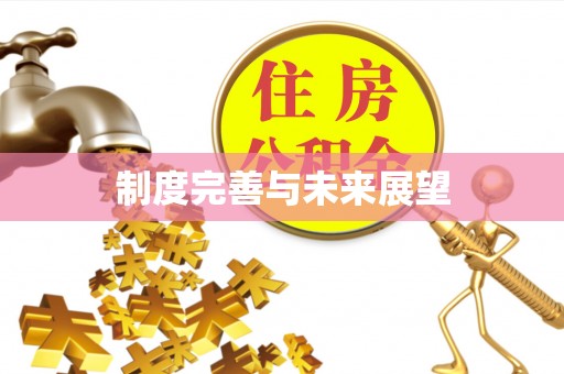 罗定制度完善与未来展望