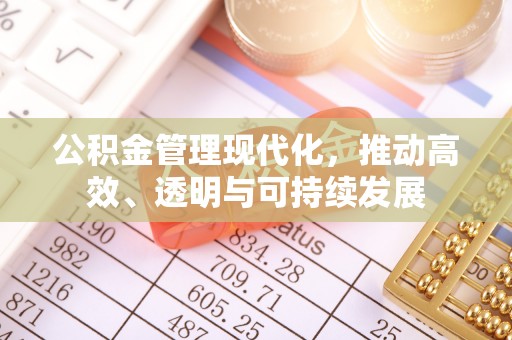 罗定公积金管理现代化，推动高效、透明与可持续发展