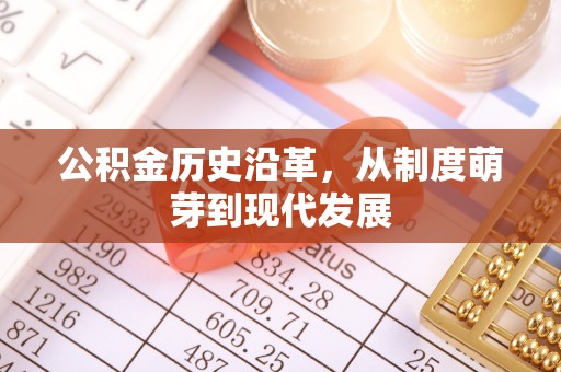 罗定公积金历史沿革，从制度萌芽到现代发展