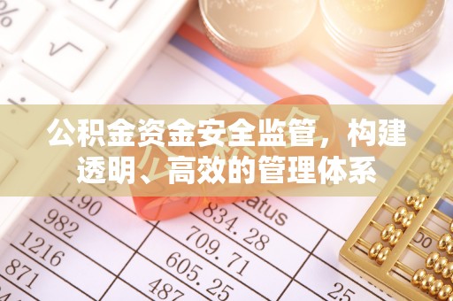 罗定公积金资金安全监管，构建透明、高效的管理体系