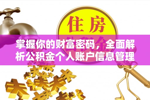 罗定掌握你的财富密码，全面解析公积金个人账户信息管理与优化
