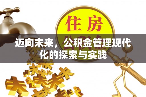 罗定迈向未来，公积金管理现代化的探索与实践