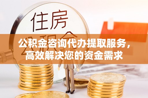 罗定公积金咨询代办提取服务，高效解决您的资金需求