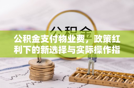 罗定公积金支付物业费，政策红利下的新选择与实际操作指南