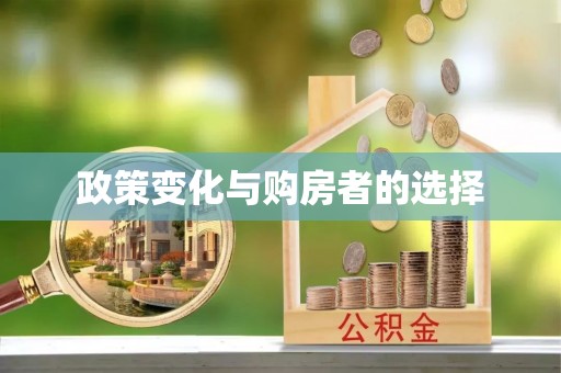罗定政策变化与购房者的选择