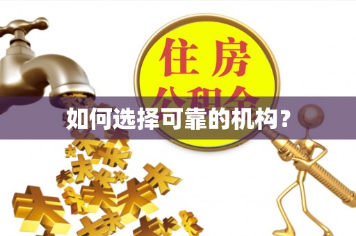 罗定如何选择可靠的机构？