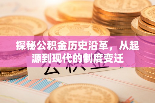 罗定探秘公积金历史沿革，从起源到现代的制度变迁