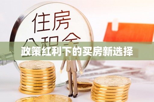 罗定政策红利下的买房新选择