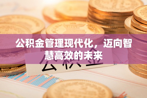 罗定公积金管理现代化，迈向智慧高效的未来