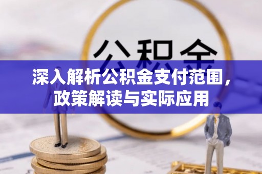 罗定深入解析公积金支付范围，政策解读与实际应用