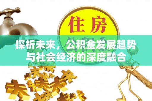 罗定探析未来，公积金发展趋势与社会经济的深度融合