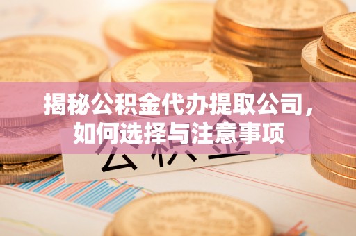罗定揭秘公积金代办提取公司，如何选择与注意事项