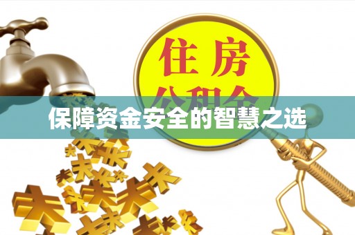罗定保障资金安全的智慧之选