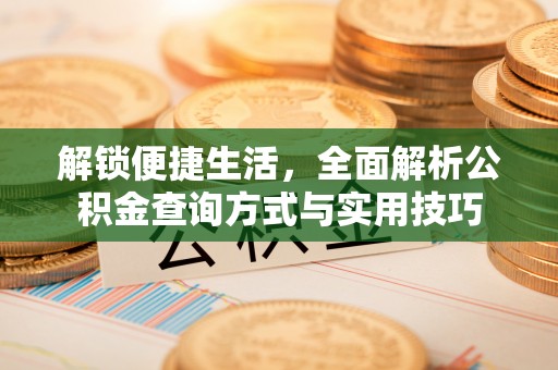 罗定解锁便捷生活，全面解析公积金查询方式与实用技巧