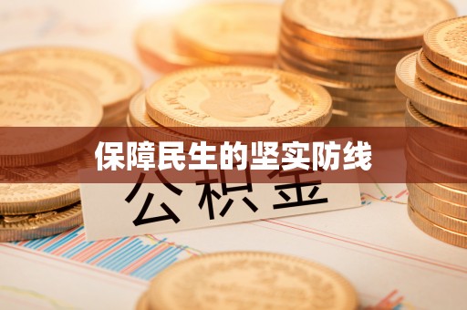 罗定保障民生的坚实防线