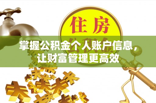罗定掌握公积金个人账户信息，让财富管理更高效
