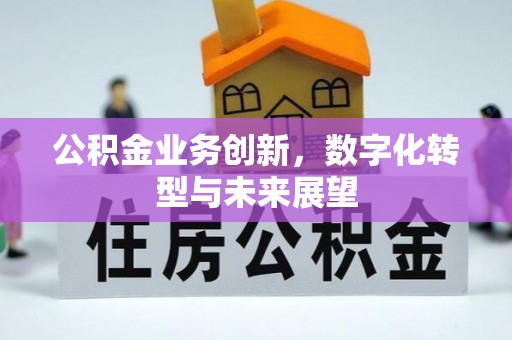 罗定公积金业务创新，数字化转型与未来展望