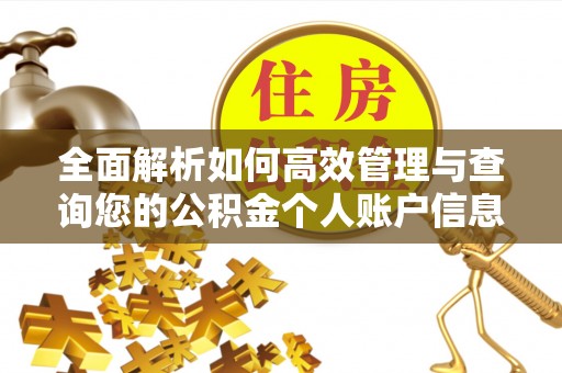 罗定全面解析如何高效管理与查询您的公积金个人账户信息