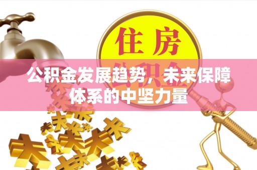 罗定公积金发展趋势，未来保障体系的中坚力量