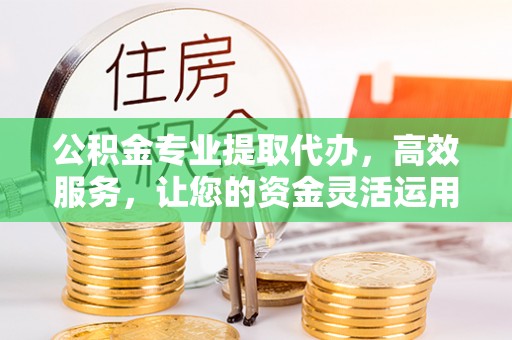 罗定公积金专业提取代办，高效服务，让您的资金灵活运用