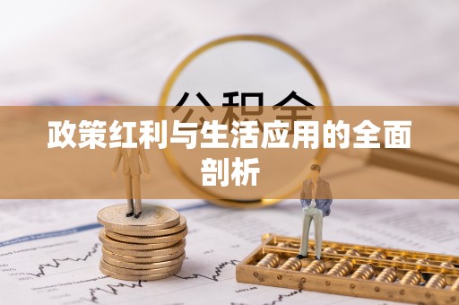 罗定政策红利与生活应用的全面剖析