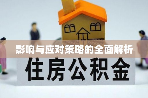罗定影响与应对策略的全面解析