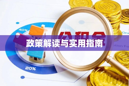 罗定政策解读与实用指南