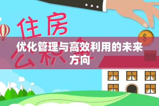 罗定优化管理与高效利用的未来方向