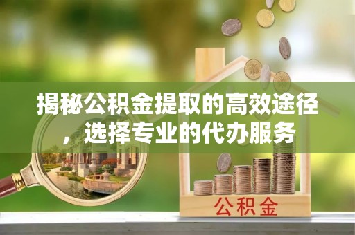 罗定揭秘公积金提取的高效途径，选择专业的代办服务