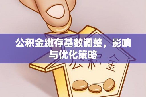罗定公积金缴存基数调整，影响与优化策略