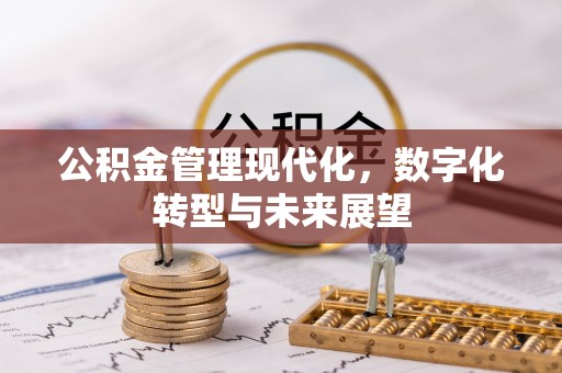 罗定公积金管理现代化，数字化转型与未来展望