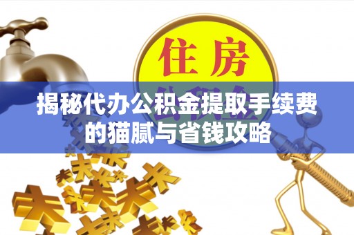 罗定揭秘代办公积金提取手续费的猫腻与省钱攻略