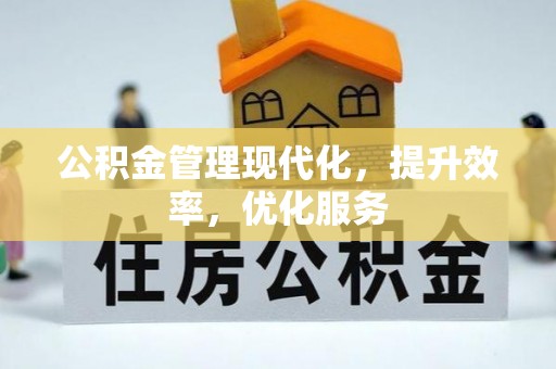 罗定公积金管理现代化，提升效率，优化服务
