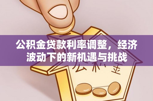 罗定公积金贷款利率调整，经济波动下的新机遇与挑战